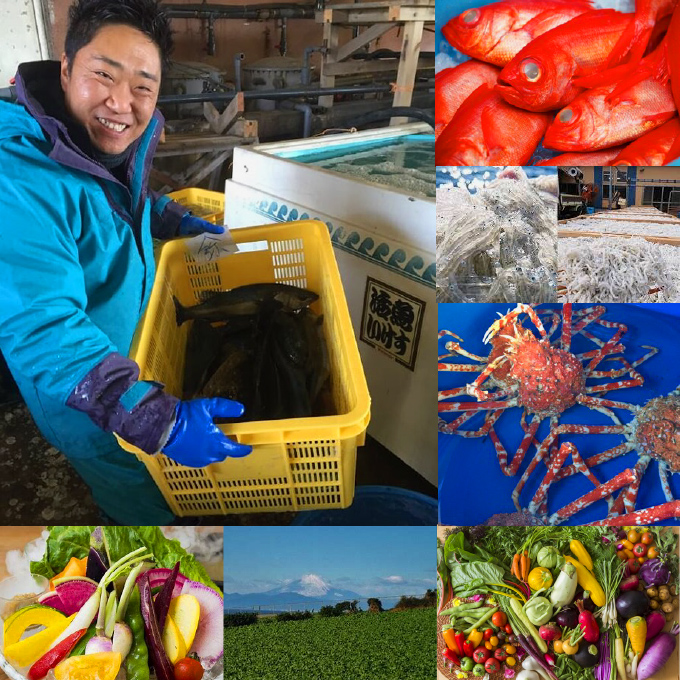 こだわりの地魚・三浦野菜 イメージ画像