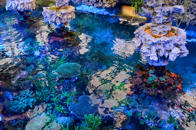 環境に対する取り組み イメージ画像